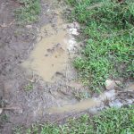 hien-trang-duong (1)