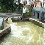 nguon_nuoc_tuoi__35511_thumb