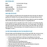 6fa22bc88437b640052287af1c56460e-0