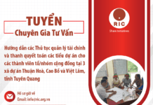 Tuyển Tư Vấn
