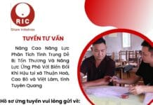 Tư vấn Nâng Cao Năng Lực Phân Tích Tình Trạng Dễ Bị Tổn Thương Và Năng Lực Ứng Phó Với Biến Đổi Khí Hậu tại xã Thuận Hoà, Cao Bồ và Việt Lâm, tỉnh Tuyên Quang