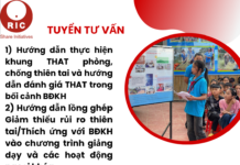 Tuyển tư vấn thực hiện các hoạt động: