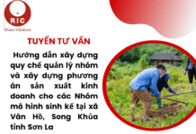 Tuyển tư vấn: Hướng dẫn xây dựng quy chế quản lý nhóm và xây dựng phương án sản xuất kinh doanh cho các Nhóm mô hình sinh kế tại xã Vân Hồ, Song Khủa và Tô Múa, tỉnh Sơn La