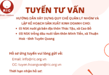 Tuyển tư vấn: Hướng dẫn xây dựng quy chế quản lý nhóm và lập kế hoạch sản xuất kinh doanh cho: (i) NSK nuôi gà bản địa thôn Thác Tậu, xã Cao Bồ (ii) NSK trồng dâu nuôi tằm thôn Minh Tiến, xã Thuận Hoà – tỉnh Tuyên Quang