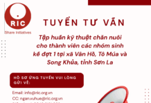 Tuyển tư vấn thực hiện Gói tư vấn tập huấn kỹ thuật chăn nuôi cho thành viên các nhóm sinh kế đợt 1